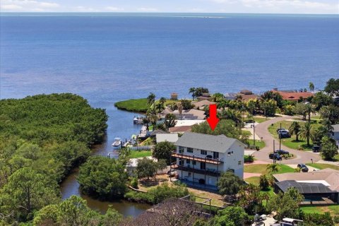 Casa en Tarpon Springs, Florida 3 dormitorios, 293.94 m2 № 2110577