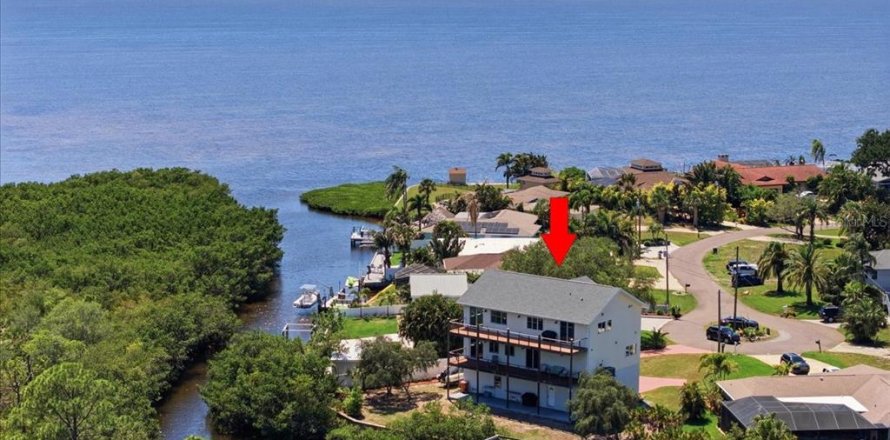 House in Tarpon Springs, Florida 3 bedrooms, 293.94 sq.m. № 2110577