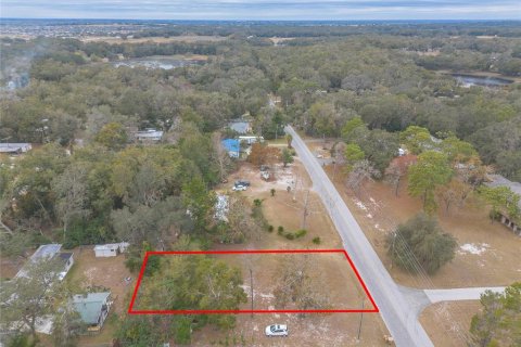 Terreno en venta en Fruitland Park, Florida № 1555298 - foto 5