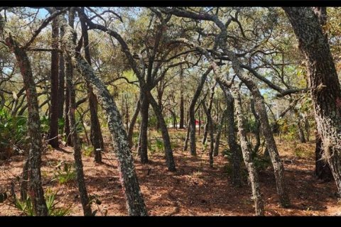 Terrain à Brooksville, Floride № 2167720