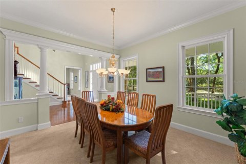 Villa ou maison à vendre à Orlando, Floride: 4 chambres, 473.24 m2 № 1716501 - photo 7