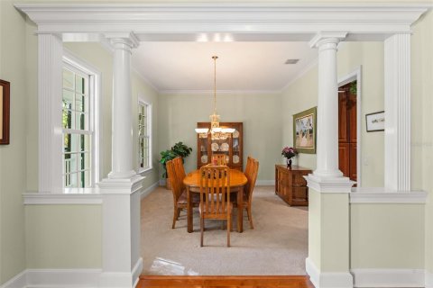 Villa ou maison à vendre à Orlando, Floride: 4 chambres, 473.24 m2 № 1716501 - photo 6