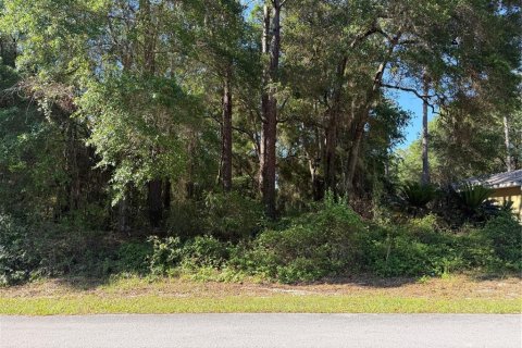 Land in Citrus Springs, Florida № 2214792 - photo 6