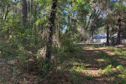 Land in Citrus Springs, Florida № 2214792 - photo 7