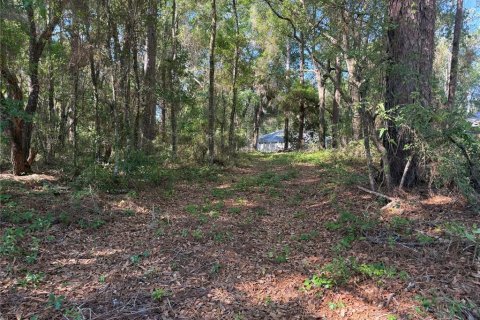 Land in Citrus Springs, Florida № 2214792 - photo 9