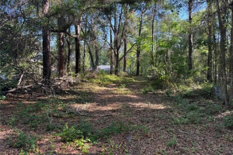 Land in Citrus Springs, Florida № 2214792 - photo 8