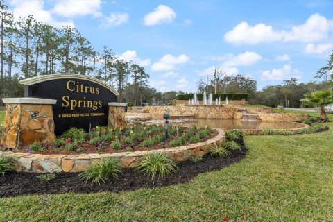 Land in Citrus Springs, Florida № 2214792 - photo 10