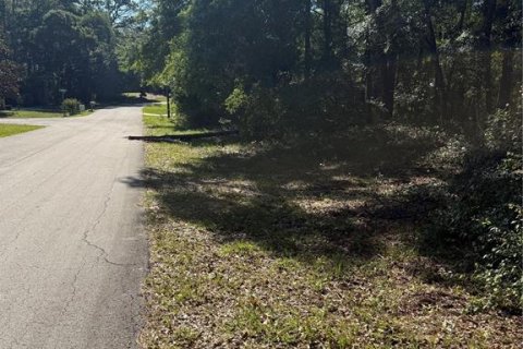 Land in Citrus Springs, Florida № 2214792 - photo 2
