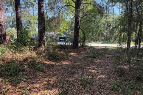 Land in Citrus Springs, Florida № 2214792 - photo 4