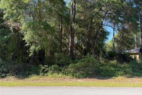 Land in Citrus Springs, Florida № 2214792