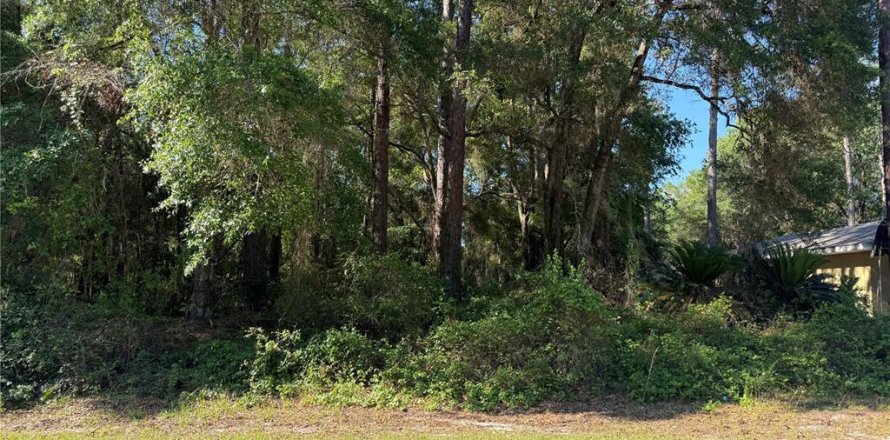 Land in Citrus Springs, Florida № 2214792