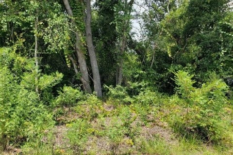 Land in Paisley, Florida № 2273211