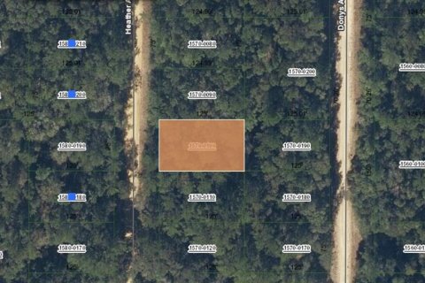 Land in Interlachen, Florida № 2160472