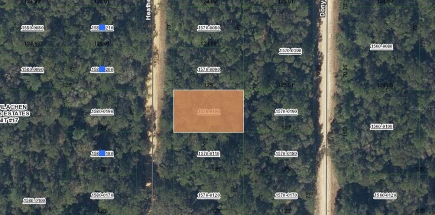 Land in Interlachen, Florida № 2160472