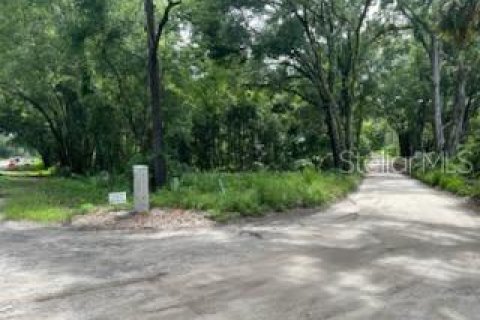 Land in Alachua, Florida № 2347993