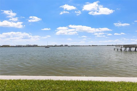 Condo in Saint Petersburg, Florida, 2 bedrooms  № 2339363 - photo 22
