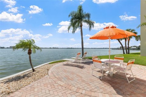 Condo in Saint Petersburg, Florida, 2 bedrooms  № 2339363 - photo 24