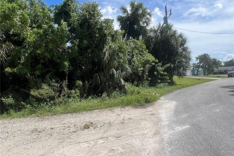 Land in North Port, Florida № 2160105 - photo 3