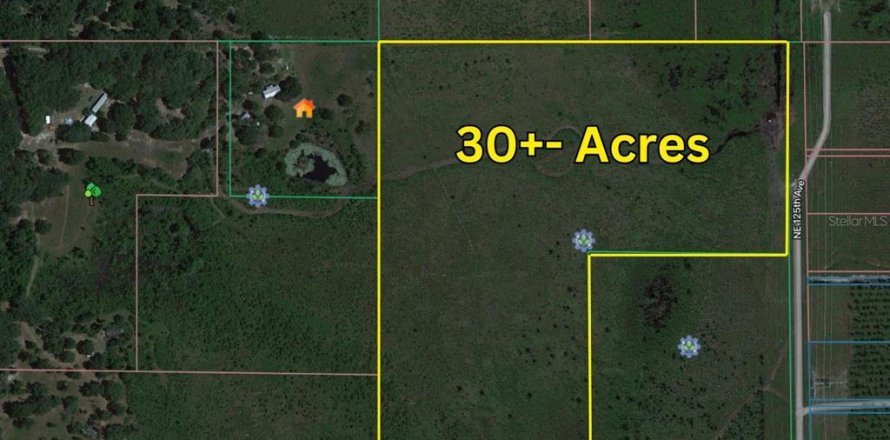 Land in Fort MC Coy, Florida № 1530632