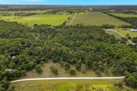 House in LaBelle, Florida 3 bedrooms, 180.88 sq.m. № 1876225 - photo 27