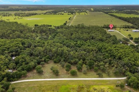 House in LaBelle, Florida 3 bedrooms, 180.88 sq.m. № 1876225 - photo 28