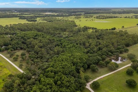House in LaBelle, Florida 3 bedrooms, 180.88 sq.m. № 1876225 - photo 29