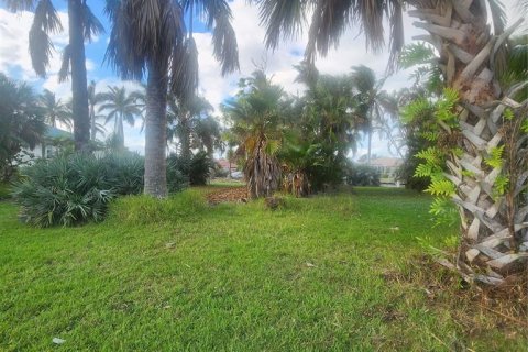 Terrain à vendre à Punta Gorda, Floride № 1444437 - photo 4