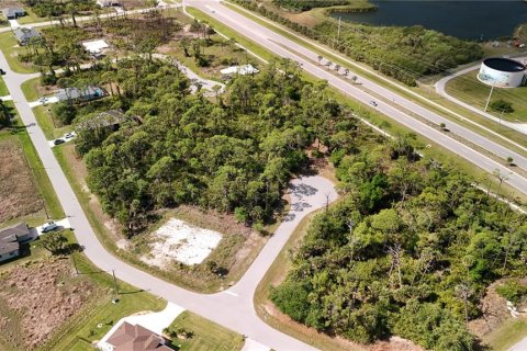 Land in Rotonda, Florida № 2163429 - photo 18