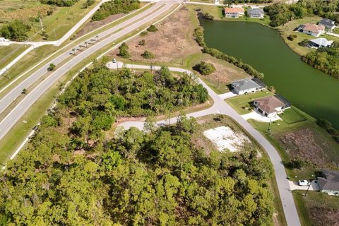 Land in Rotonda, Florida № 2163429 - photo 15