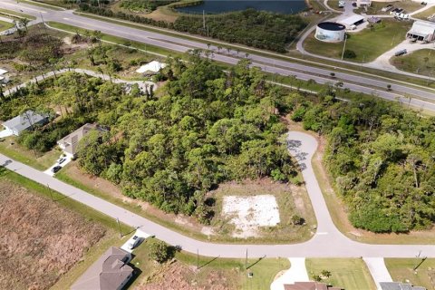 Land in Rotonda, Florida № 2163429 - photo 17