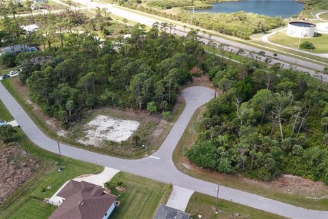Land in Rotonda, Florida № 2163429 - photo 7