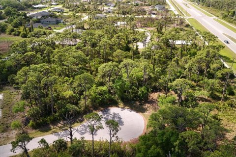 Land in Rotonda, Florida № 2163429 - photo 2