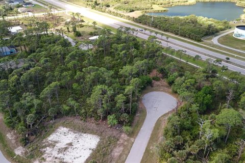 Land in Rotonda, Florida № 2163429 - photo 8