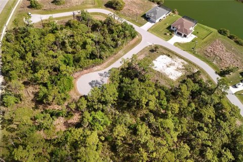 Land in Rotonda, Florida № 2163429 - photo 13