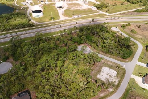 Land in Rotonda, Florida № 2163429 - photo 16