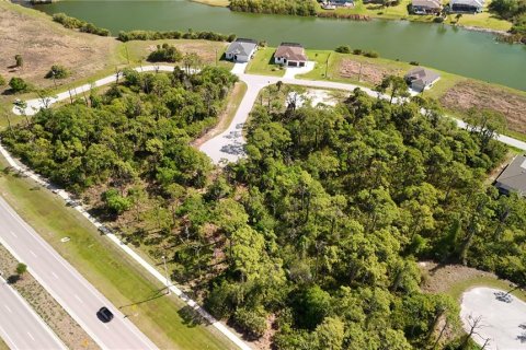 Land in Rotonda, Florida № 2163429 - photo 25