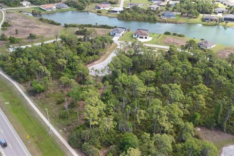 Land in Rotonda, Florida № 2163429 - photo 9