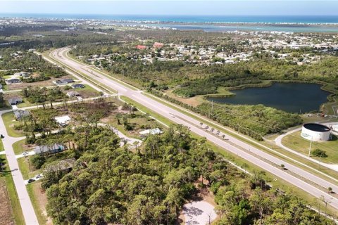 Land in Rotonda, Florida № 2163429 - photo 19