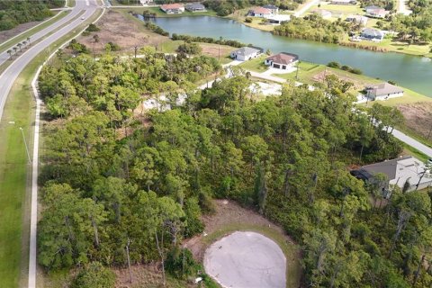 Land in Rotonda, Florida № 2163429 - photo 11