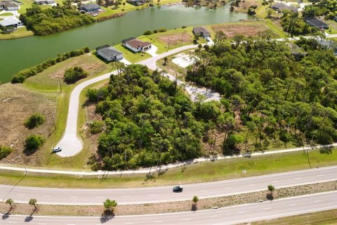 Land in Rotonda, Florida № 2163429 - photo 23