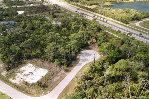 Land in Rotonda, Florida № 2163429 - photo 5