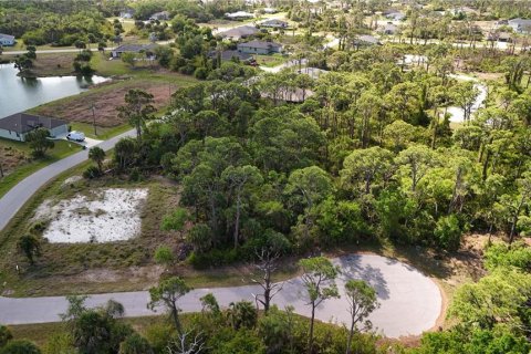 Land in Rotonda, Florida № 2163429 - photo 3