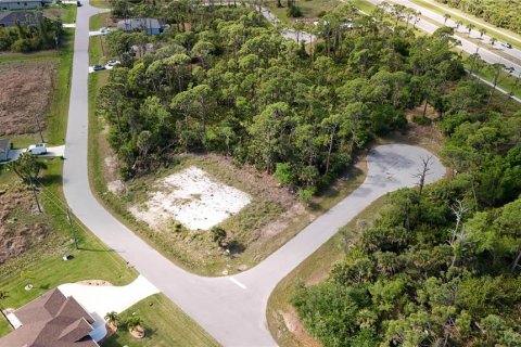 Land in Rotonda, Florida № 2163429 - photo 4