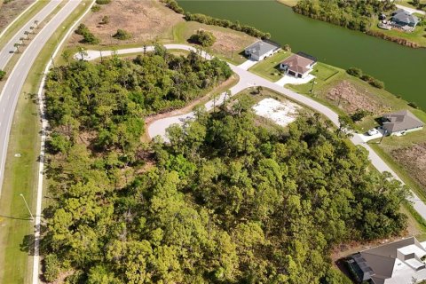 Land in Rotonda, Florida № 2163429 - photo 14