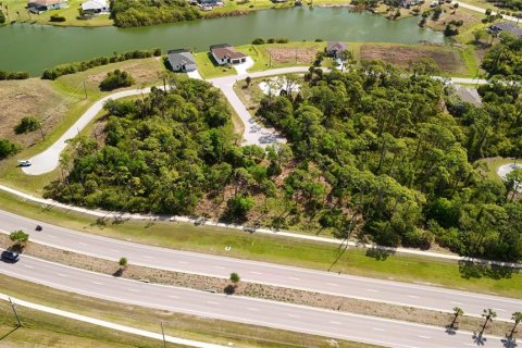 Land in Rotonda, Florida № 2163429 - photo 24