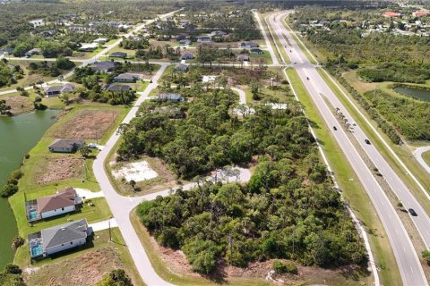 Land in Rotonda, Florida № 2163429 - photo 22
