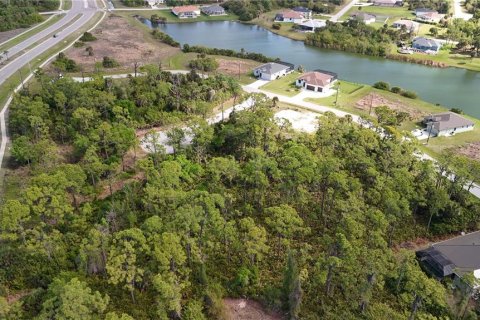 Land in Rotonda, Florida № 2163429 - photo 10