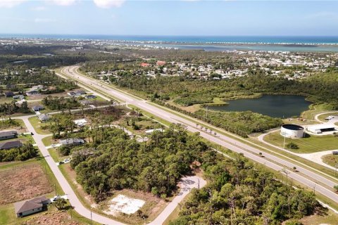 Land in Rotonda, Florida № 2163429 - photo 20