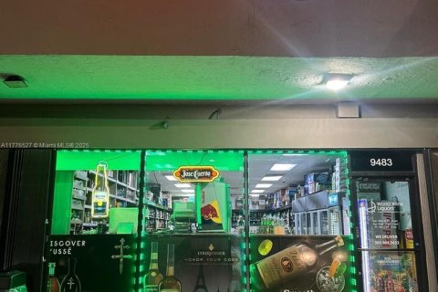 Immobilier commercial à vendre à Miami, Floride № 2059891 - photo 3