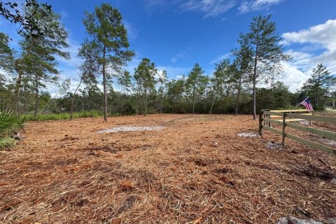 Land in Paisley, Florida № 2164142 - photo 6